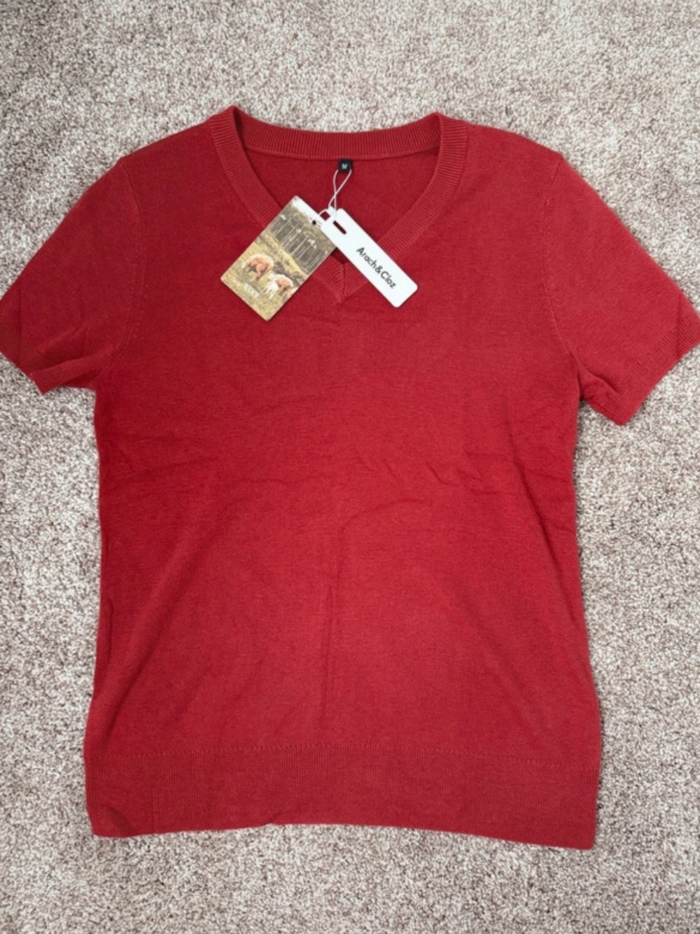 Arach & Cloz Brick Red women’s  V-Neck Short Sleeve Knit